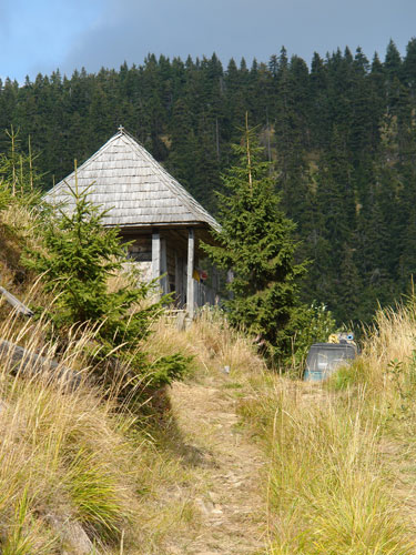 Foto cabana de vanatoare (c) Petru Goja